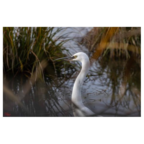 PHOTO84, CLUB, 84 , LUBERON